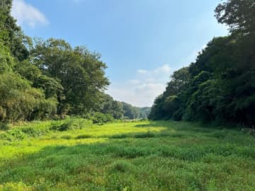 農地は耕作放棄された後も防災効果を維持する