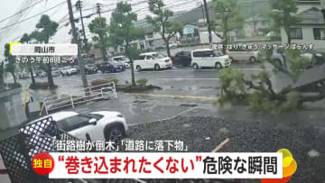 【独自】“巻き込まれたくない”約7メートルの街路樹が倒木する瞬間　トラック荷台から金属片落下し危険回避する後続車も　岡山・埼玉