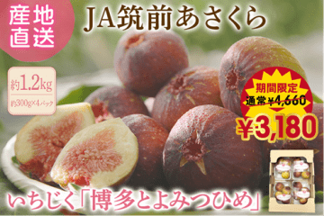JAタウンのショップ｢博多うまかショップ｣でお盆の生産者応援！｢博多とよみつひめ｣を特別価格で予約受付中！
