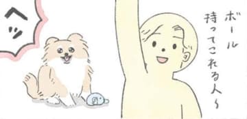 「～する人」という言葉に弱い愛犬むっく…このワードで躾に従う？【うちのむっくはいつも楽しそう #３ 】