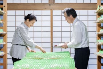 皇后さま、今年初めて繭を収穫　皇居「紅葉山」で養蚕作業