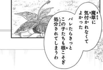 「気付かれなくてよかった」魔法を使える能力を隠していた理由【双子王子の継母になりまして #４】