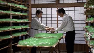 皇后さま、皇居でご養蚕“初繭掻き”　蚕の繭を収穫し「今年もいい繭ができましたね」
