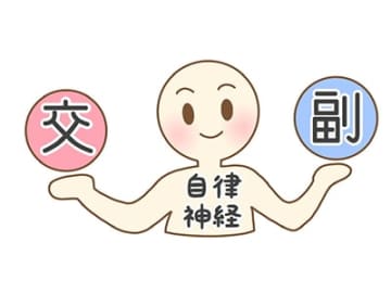 自律神経を整えるには「3つの顔」を知るのが近道【今度こそ「不安ぐせ」をゆるめる ポリヴェーガル理論】