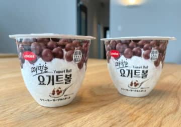 ヨーグルトにチョコ…!?話題の「韓国アイス」が新しいおいしさだった