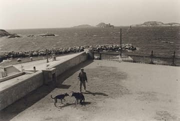 尾仲浩二写真展：番外 フランスの犬