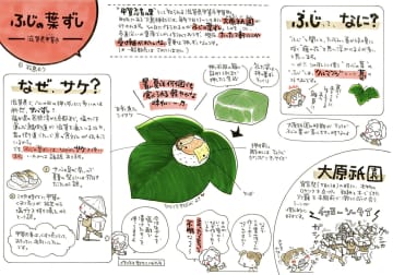 “甲賀忍者の里”で食べられている「ふじの葉ずし」は、たった2軒にだけ受け継がれる貴重な押しずし