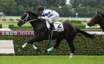 【新馬/阪神5R】新馬戦一番星はチュウワカーネギー