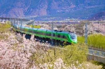 チベットに向かう観光客数と特別観光列車運行数がここ5年で最多に―中国