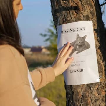 「決してあきらめない！」300万円以上を費やし、行方不明になった愛猫を探し続ける夫婦　ドイツ