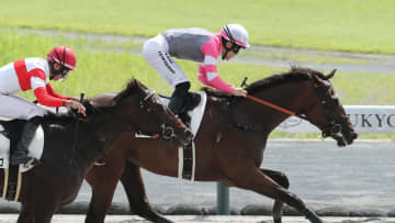 【函館スプリントS】ミリアッドラヴがレース中に急性心不全　池添謙一騎手は落馬し負傷　宝塚記念など6レースで騎手変更