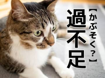 【過不足】は「かぶそく」と読んだら笑われる！？【読めないと恥ずかしい漢字クイズ】
