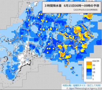【速報】埼玉で大雨による浸水、落雷、竜巻に警戒　1時間に40ミリの雨も　昼過ぎから大気が非常に不安定に