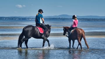 【夏の乗馬】絶景体験！海岸＆ナイトライドで楽しむ外乗の魅力