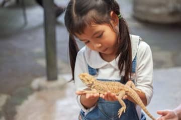 ヘビやトカゲもかわいく見えてくる！わが家の珍しいペットたち