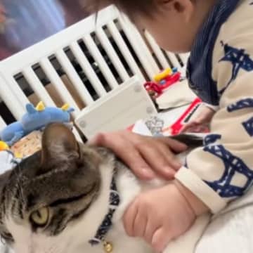 猫のそばにいた赤ちゃんが次の瞬間…育児してなかったら『一生言わなかったであろう言葉』に「確かに言わないｗ」「静かな場所で吹いたｗ」と爆笑