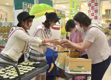 初夏の味覚　八千代町産「タカミメロン」販売　イオンでフェア、15日まで　茨城