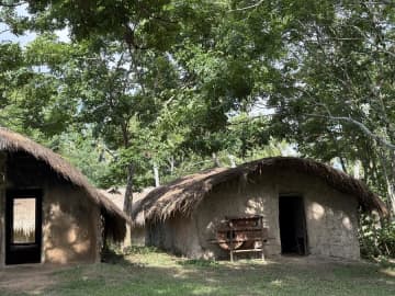 中国海南島に残る「船型屋」集落　リー族の伝統住居を次世代へ