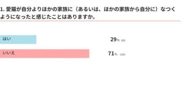 猫の心変わりを感じた経験は？　なつかれる人の特徴を獣医師が解説