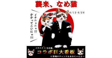 80年代に大流行の「なめ猫」グッズをゲットしよう　17LIVEとのコラボイベントが開催中