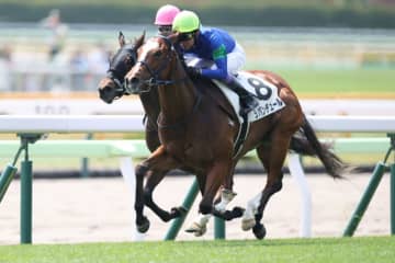 【函館7R】武豊ラパンチュールが人気に応える
