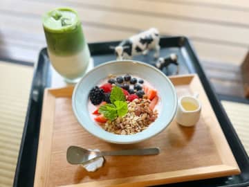 【上野】こんな場所にカフェが！国立東京博物館裏で見つけた「TOHAKU茶館」
