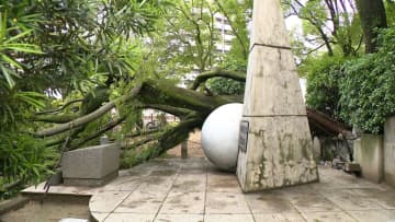 高さ5メートルの「エノキ」根元から倒れる　老朽化や降り続いた雨が原因か　広島市中区