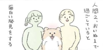 人間2人と愛犬むっく、遊び相手＆リラックスタイム…懐く相手が異なる?!【うちのむっくはいつも楽しそう #５ 】