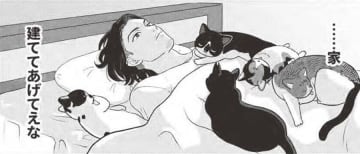 猫が遊べる「家」建てたい…飼い主を放っておかない猫ライフ？【借金1000万作曲家の人生を変えてくれた猫の話 #10】