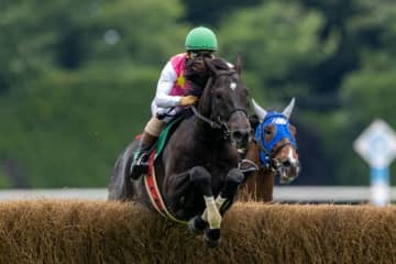【東京ジャンプS】ジューンベロシティが3連覇…ホッコーメヴィウスは競走中止