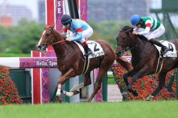 【新馬/阪神5R】良血サレジオがデビュー戦を快勝
