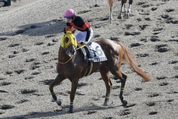 【東京12R】ルヴァンスレーヴ産駒 ルグランヴァンが3勝目