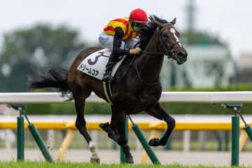 【新馬/東京5R】断然人気ドリームコアが快勝…母はノームコア