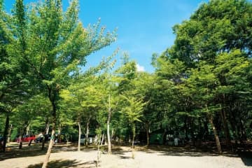 初心者におすすめ！デイキャンプを楽しめるキャンプ場12選【埼玉県】
