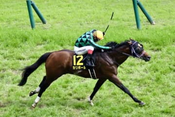 【パラダイスS】9歳馬カリボールが波乱を演出…サトノカルナバルはまさかの最下位