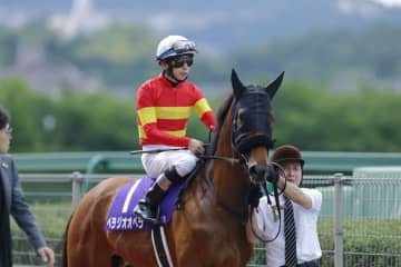 【宝塚記念】横山和「悔しいです」レース後ジョッキーコメント