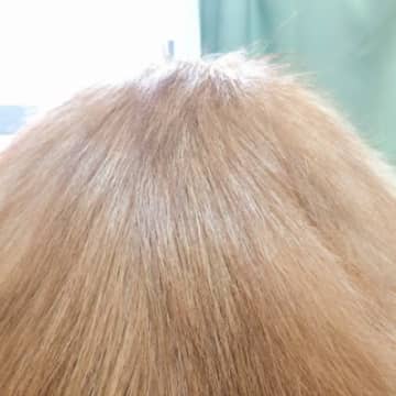 『サラッサラのカツラ』かと思ったら…騙される人が続出の『驚きの正体』が61万表示「ウィッグにしか見えないｗ」「人間の頭部かとｗ」