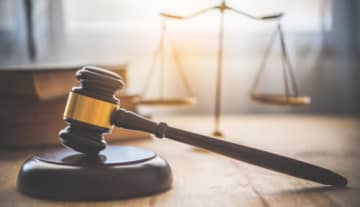 『毛虫が裁判にかけられたことがある』というのは本当なのか　過去に行われた不思議な裁判をご紹介