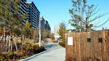 晴海フラッグがあえて「未完成」のまま「まちびらき」したワケ