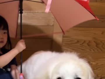 「こんな光景、夢みたい」「飾らせてほしい」　２歳娘と一緒に写る存在が？