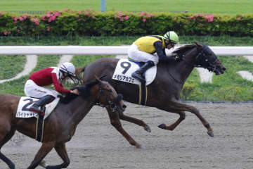 【関東オークス】メモリアカフェは1枠1番へ…JRA馬は4頭