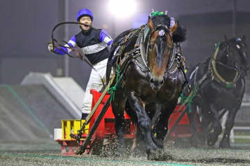 【ばんえい・北斗賞】コマサンエースが重賞2連勝…金田「9歳になっても若々しい」