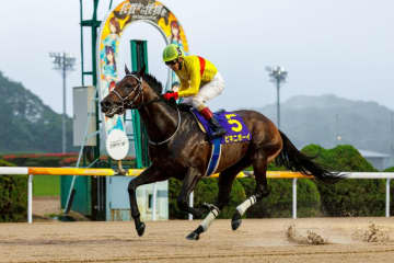 【佐賀王冠賞】ビキニボーイが早め先頭で完勝…5馬身差V