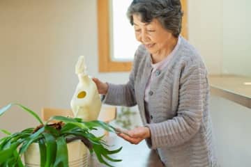 いま選ばれているお葬式のカタチ！家族葬の割合と平均費用をチェック