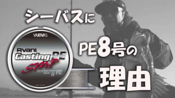 コノシロだけがビッグベイトシーバスパターンじゃない！達人の理論とタックルセッティング