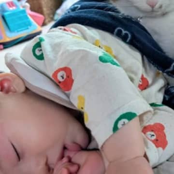寝ている赤ちゃんを見てみたら、そばで『2匹の猫』が…まさかの『可愛すぎる光景』が33万表示「可愛いが大渋滞」「幸せ詰まりすぎ」