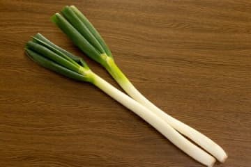 長ねぎの青い部分、捨てないで！ネバネバでも食べられる？〈野菜のプロ〉が教えるおいしい食べ方とは♡