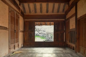 韓国ドラマ【ホジュン】ウィテは師としてジュンに授ける最期の“授業”をする。胸アツの 19〜28話レビュー