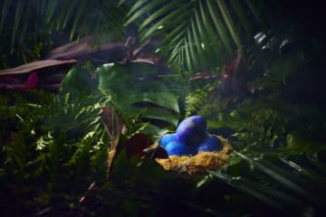 アートホテル大阪ベイタワー スカイビュッフェ51「WONDER JUNGLE」7/1～8/31開催