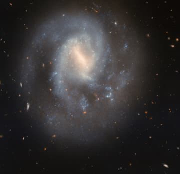 穏やかさが美しい ハッブル宇宙望遠鏡が観測した棒渦巻銀河「IC 758」【今日の宇宙画像】